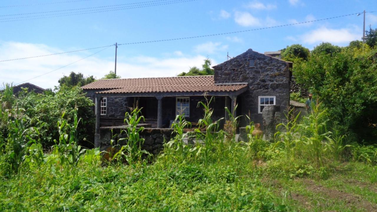 Villa Casa Da Alicia Feiteira Esterno foto